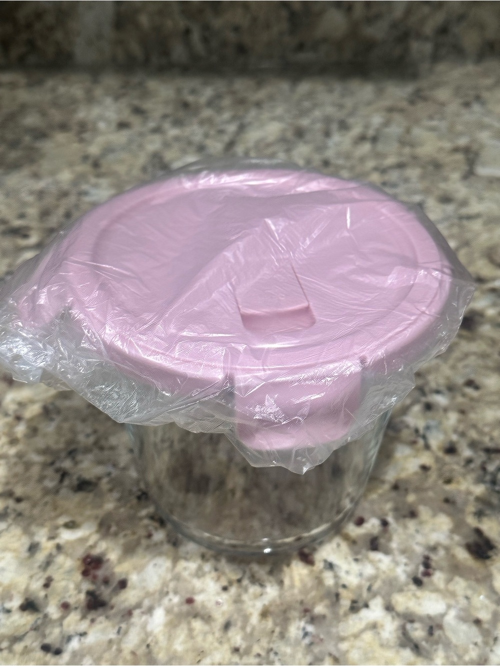 Glass Food Containers with Airtight Lids